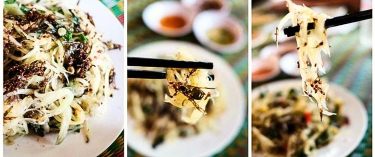 Gỏi đu đủ kiến vàng