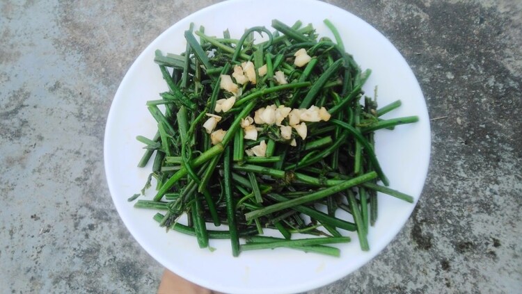 Rau dớn xào tỏi Ba Tơ