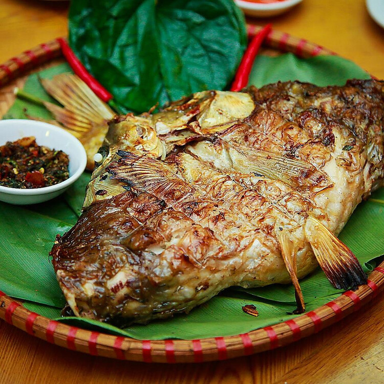 Cá suối