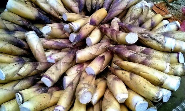 Măng vầu khô